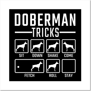 Doberman Tricks Posters and Art